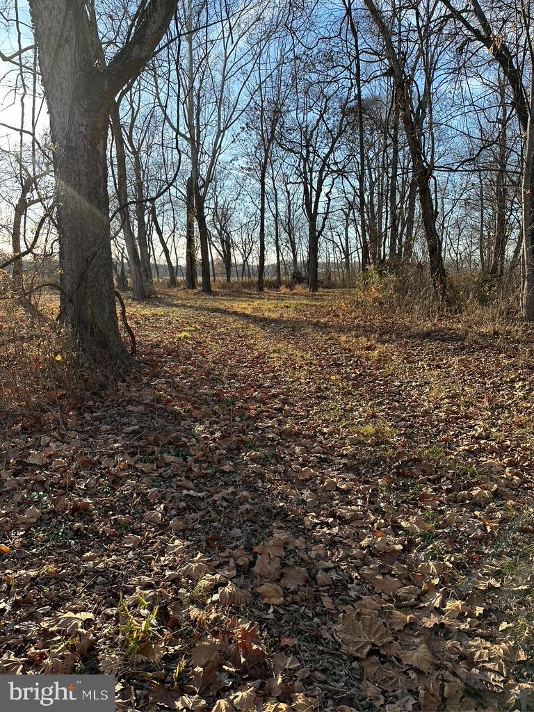 8184 FOX GROVES RD, REMINGTON, Virginia 22734, 2 Bedrooms Bedrooms, ,2 BathroomsBathrooms,Residential,For Sale,8184 FOX GROVES RD,VACU2006660 MLS # VACU2006660 8184 FOX GROVES RD, REMINGTON, Virginia 22734, 2 Bedrooms Bedrooms, ,2 BathroomsBathrooms,Residential,For Sale,8184 FOX GROVES RD,VACU2006660 MLS # VACU2006660