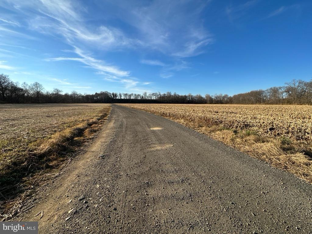 8184 FOX GROVES RD, REMINGTON, Virginia 22734, 2 Bedrooms Bedrooms, ,2 BathroomsBathrooms,Residential,For Sale,8184 FOX GROVES RD,VACU2006660 MLS # VACU2006660 8184 FOX GROVES RD, REMINGTON, Virginia 22734, 2 Bedrooms Bedrooms, ,2 BathroomsBathrooms,Residential,For Sale,8184 FOX GROVES RD,VACU2006660 MLS # VACU2006660