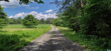 TBD LOST VALLEY RD, EARLYSVILLE, Virginia 22936, ,Land,For Sale,TBD LOST VALLEY RD,649504 MLS # 649504