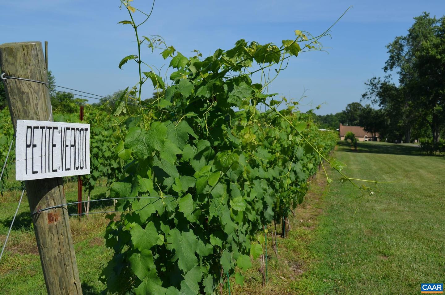 5609 COURTHOUSE RD, SPOTSYLVANIA, Virginia 22551, ,Land,For Sale,5609 COURTHOUSE RD,649642 MLS # 649642