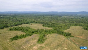 TBD 1 MARTIN KINGS RD, SCOTTSVILLE, Virginia 24590, ,Farm,For Sale,TBD 1 MARTIN KINGS RD,649817 MLS # 649817