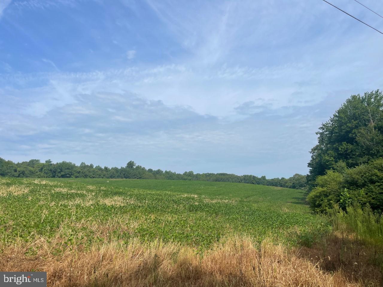 RT 460 AT EVERGREEN, EVERGREEN, Virginia 23939, ,Land,For Sale,RT 460 AT EVERGREEN,VAAV2000012 MLS # VAAV2000012 RT 460 AT EVERGREEN, EVERGREEN, Virginia 23939, ,Land,For Sale,RT 460 AT EVERGREEN,VAAV2000012 MLS # VAAV2000012