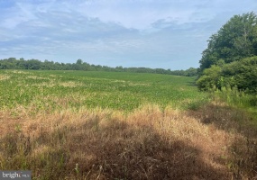 RT 460 AT EVERGREEN, EVERGREEN, Virginia 23939, ,Land,For Sale,RT 460 AT EVERGREEN,VAAV2000012 MLS # VAAV2000012 RT 460 AT EVERGREEN, EVERGREEN, Virginia 23939, ,Land,For Sale,RT 460 AT EVERGREEN,VAAV2000012 MLS # VAAV2000012