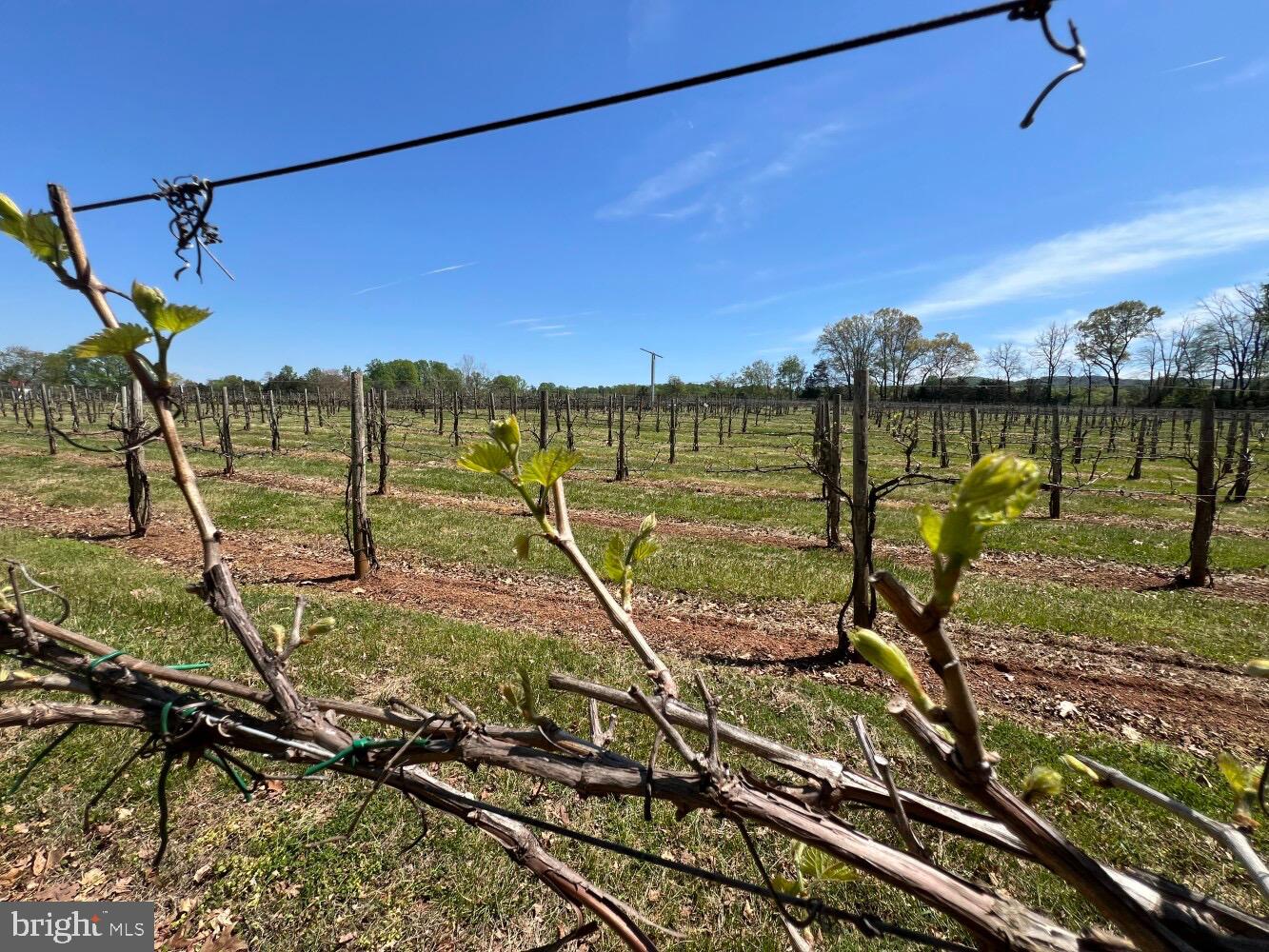 4500 WINERY LN, BARBOURSVILLE, Virginia 22923, 3 Bedrooms Bedrooms, ,3 BathroomsBathrooms,Residential,For Sale,4500 WINERY LN,VAAB2000558 MLS # VAAB2000558