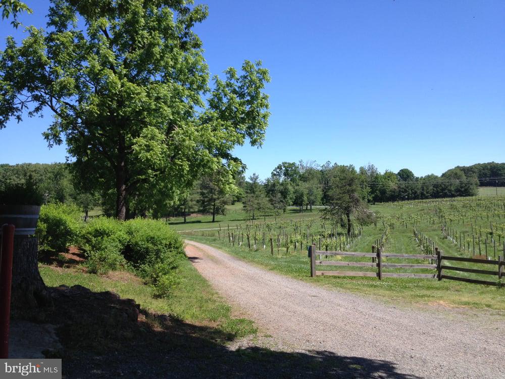 4500 WINERY LN, BARBOURSVILLE, Virginia 22923, 3 Bedrooms Bedrooms, ,3 BathroomsBathrooms,Residential,For Sale,4500 WINERY LN,VAAB2000558 MLS # VAAB2000558