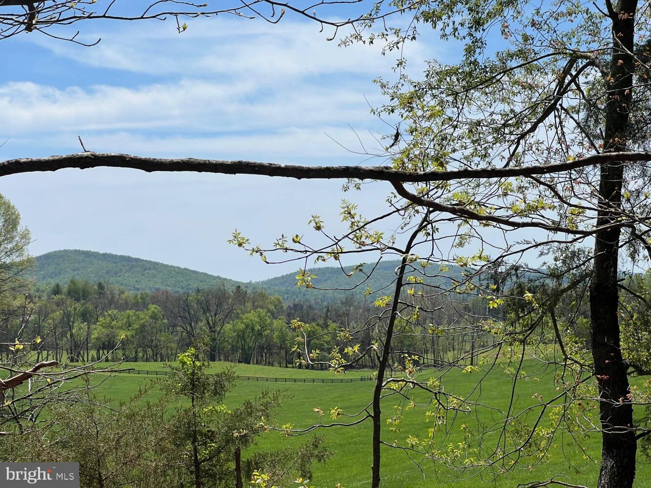 4500 WINERY LN, BARBOURSVILLE, Virginia 22923, 3 Bedrooms Bedrooms, ,3 BathroomsBathrooms,Residential,For Sale,4500 WINERY LN,VAAB2000558 MLS # VAAB2000558