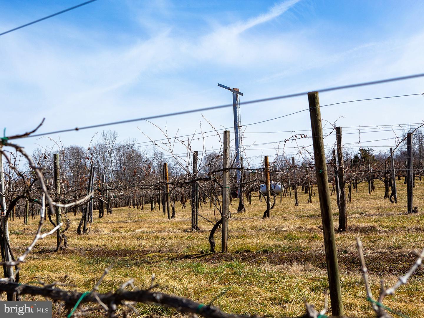 4500 WINERY LN, BARBOURSVILLE, Virginia 22923, 3 Bedrooms Bedrooms, ,3 BathroomsBathrooms,Residential,For Sale,4500 WINERY LN,VAAB2000558 MLS # VAAB2000558