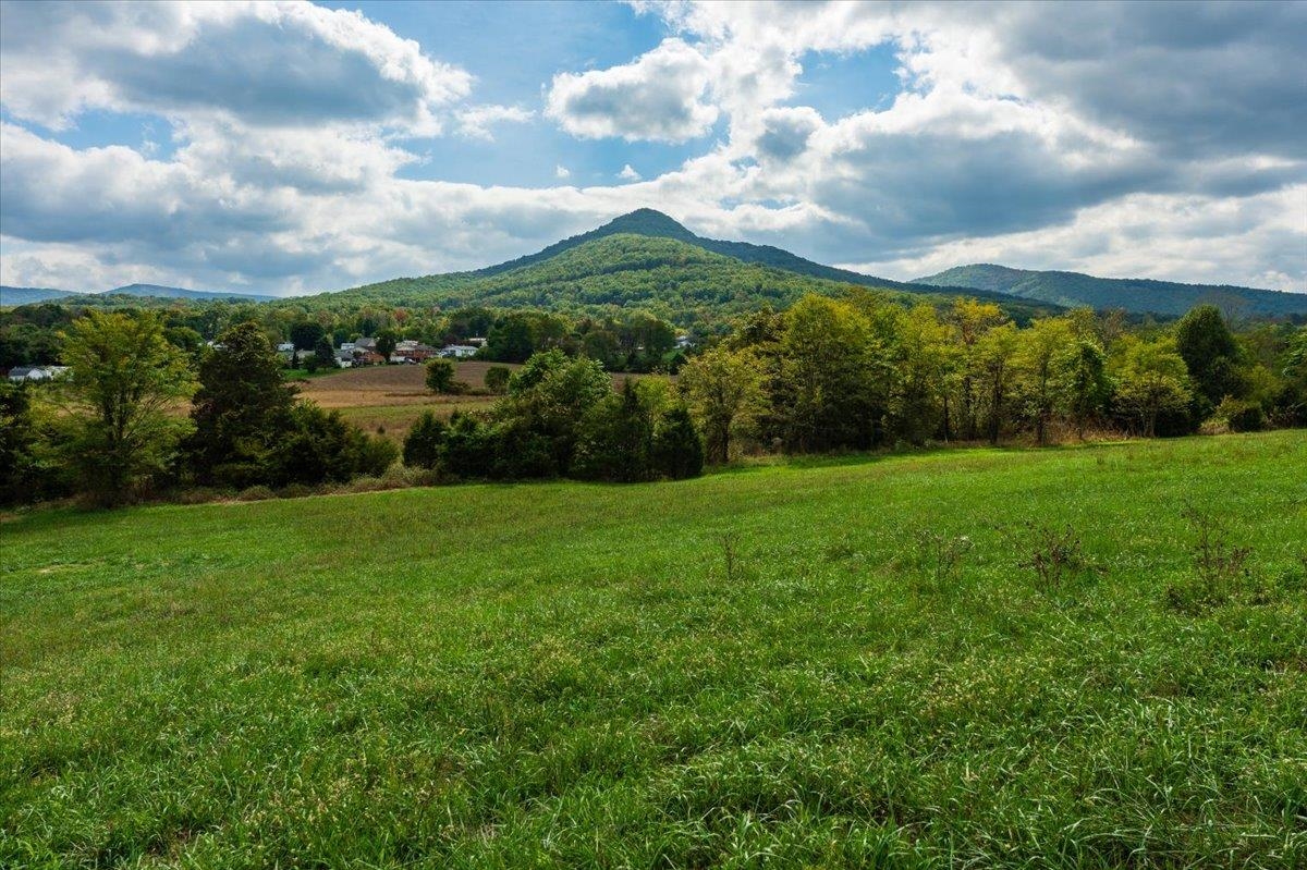 0 JUDY LN, STANLEY, Virginia 22851, ,Farm,14,0 JUDY LN,650150 MLS # 650150 0 JUDY LN, STANLEY, Virginia 22851, ,Farm,14,0 JUDY LN,650150 MLS # 650150