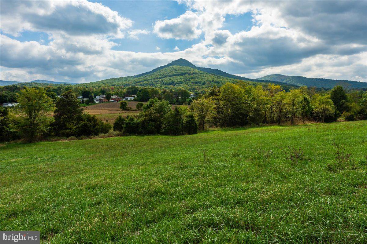 TBD JUDY LANE, STANLEY, Virginia 22851, ,Farm,For Sale,TBD JUDY LANE,VAPA2003252 MLS # VAPA2003252 TBD JUDY LANE, STANLEY, Virginia 22851, ,Farm,For Sale,TBD JUDY LANE,VAPA2003252 MLS # VAPA2003252