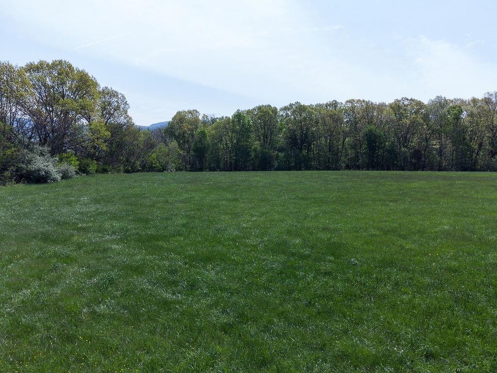 TBD S BOSLEY DR, STANLEY, Virginia 22851, ,Land,14,TBD S BOSLEY DR,650585 MLS # 650585