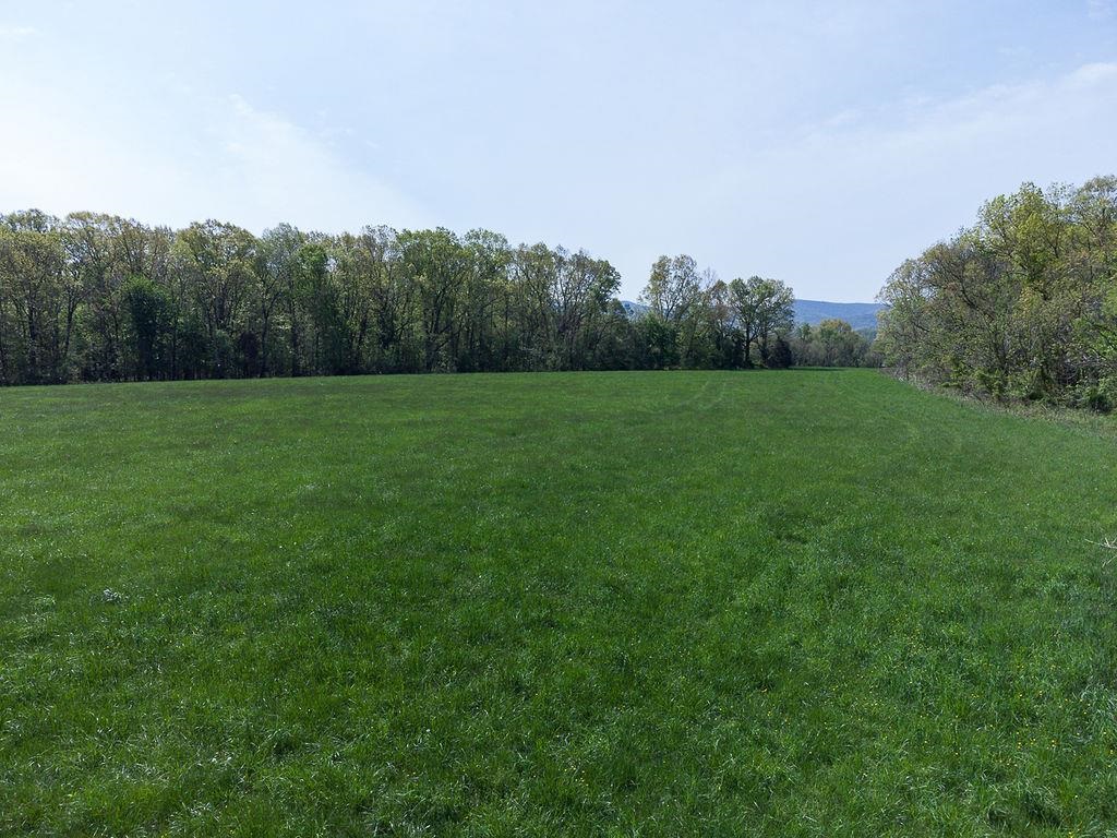TBD S BOSLEY DR, STANLEY, Virginia 22851, ,Land,14,TBD S BOSLEY DR,650585 MLS # 650585