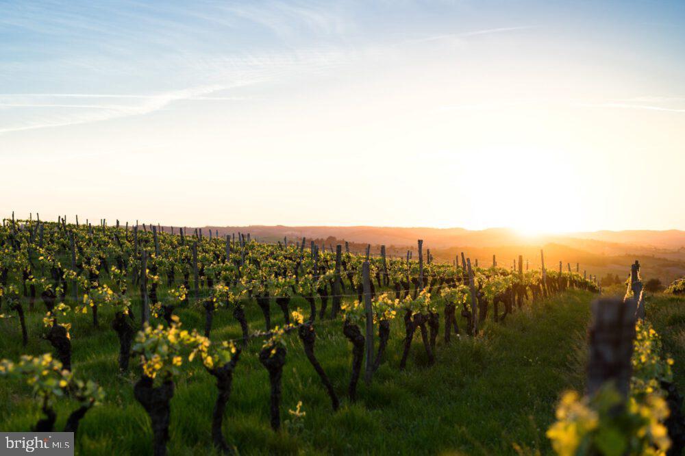 4500 WINERY LN, BARBOURSVILLE, Virginia 22923, 3 Bedrooms Bedrooms, ,3 BathroomsBathrooms,Farm,For Sale,4500 WINERY LN,VAAB2000548 MLS # VAAB2000548