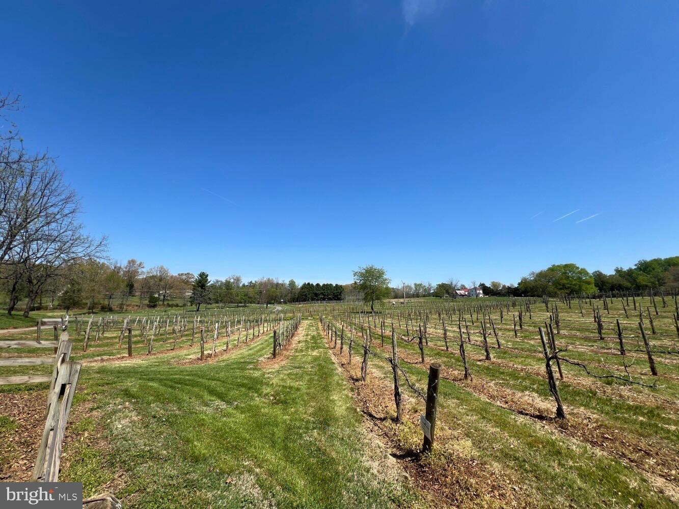 4500 WINERY LN, BARBOURSVILLE, Virginia 22923, 3 Bedrooms Bedrooms, ,3 BathroomsBathrooms,Farm,For Sale,4500 WINERY LN,VAAB2000548 MLS # VAAB2000548