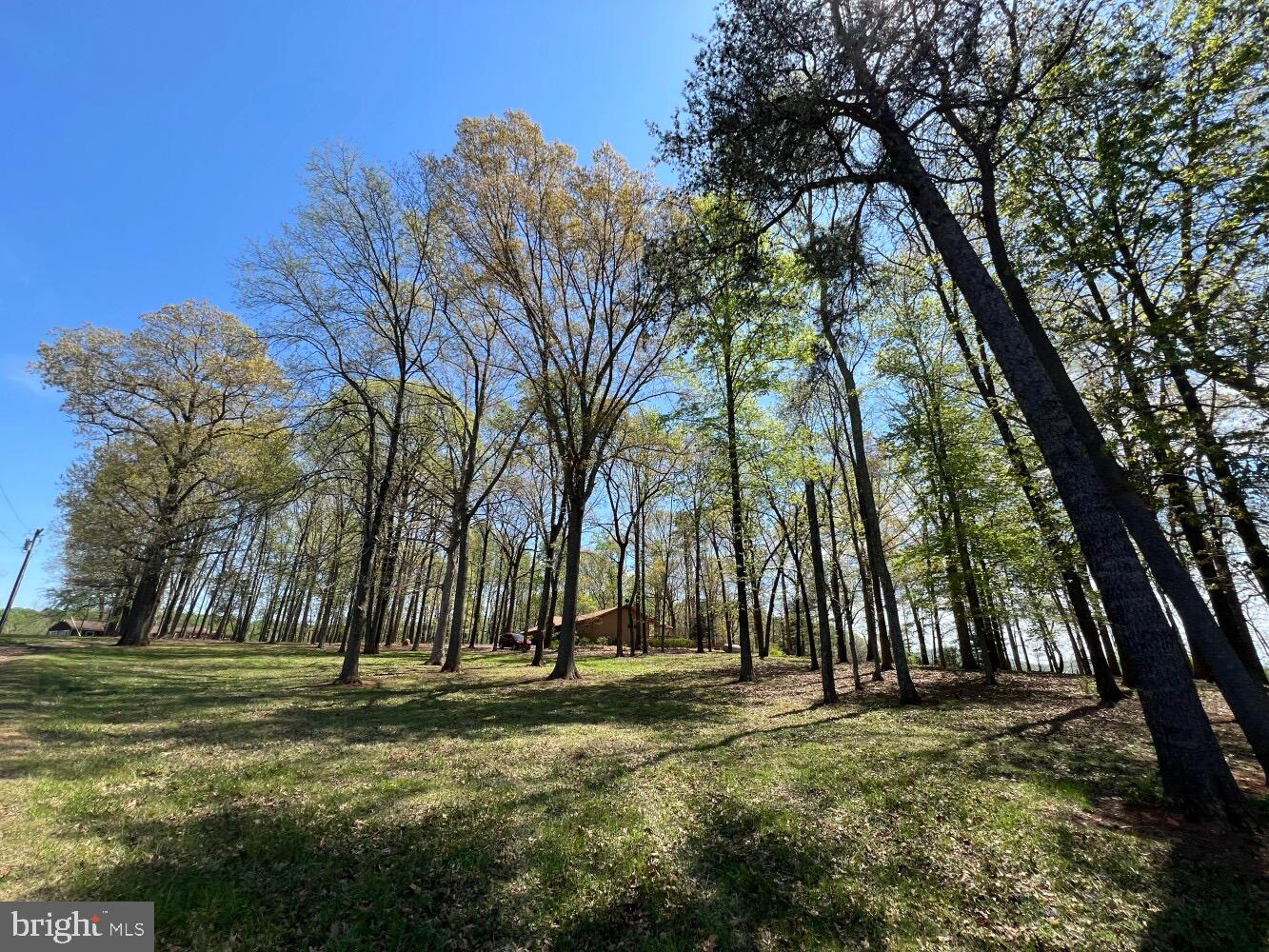 4500 WINERY LN, BARBOURSVILLE, Virginia 22923, 3 Bedrooms Bedrooms, ,3 BathroomsBathrooms,Farm,For Sale,4500 WINERY LN,VAAB2000548 MLS # VAAB2000548