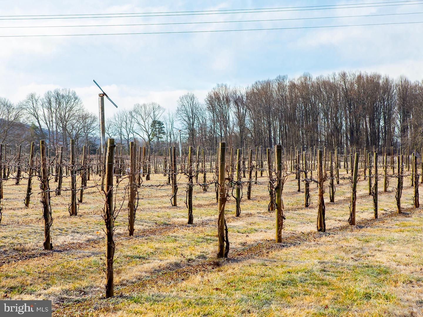 4500 WINERY LN, BARBOURSVILLE, Virginia 22923, 3 Bedrooms Bedrooms, ,3 BathroomsBathrooms,Farm,For Sale,4500 WINERY LN,VAAB2000548 MLS # VAAB2000548