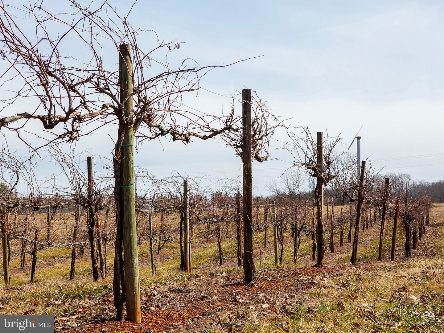 4500 WINERY LN, BARBOURSVILLE, Virginia 22923, 3 Bedrooms Bedrooms, ,3 BathroomsBathrooms,Farm,For Sale,4500 WINERY LN,VAAB2000548 MLS # VAAB2000548