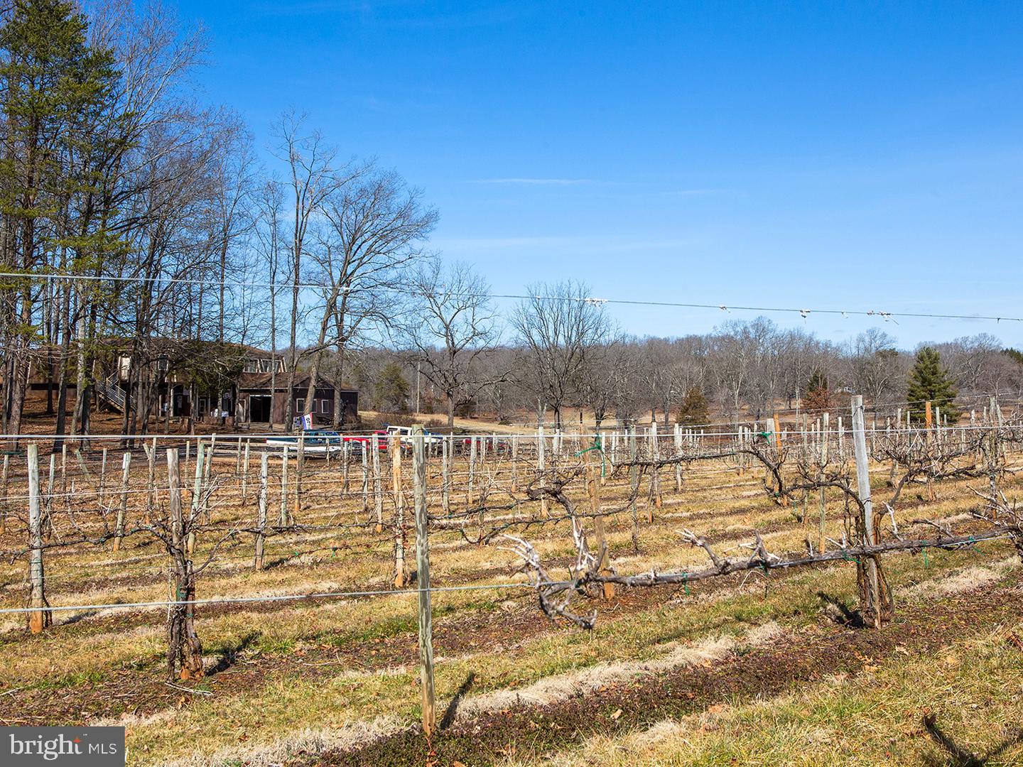 4500 WINERY LN, BARBOURSVILLE, Virginia 22923, 3 Bedrooms Bedrooms, ,3 BathroomsBathrooms,Farm,For Sale,4500 WINERY LN,VAAB2000548 MLS # VAAB2000548