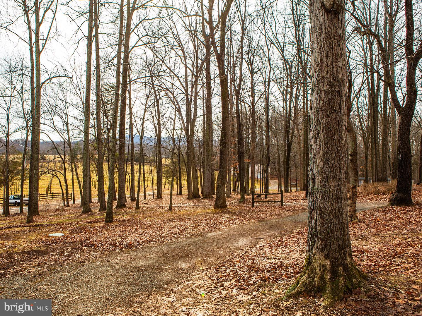 4500 WINERY LN, BARBOURSVILLE, Virginia 22923, 3 Bedrooms Bedrooms, ,3 BathroomsBathrooms,Farm,For Sale,4500 WINERY LN,VAAB2000548 MLS # VAAB2000548