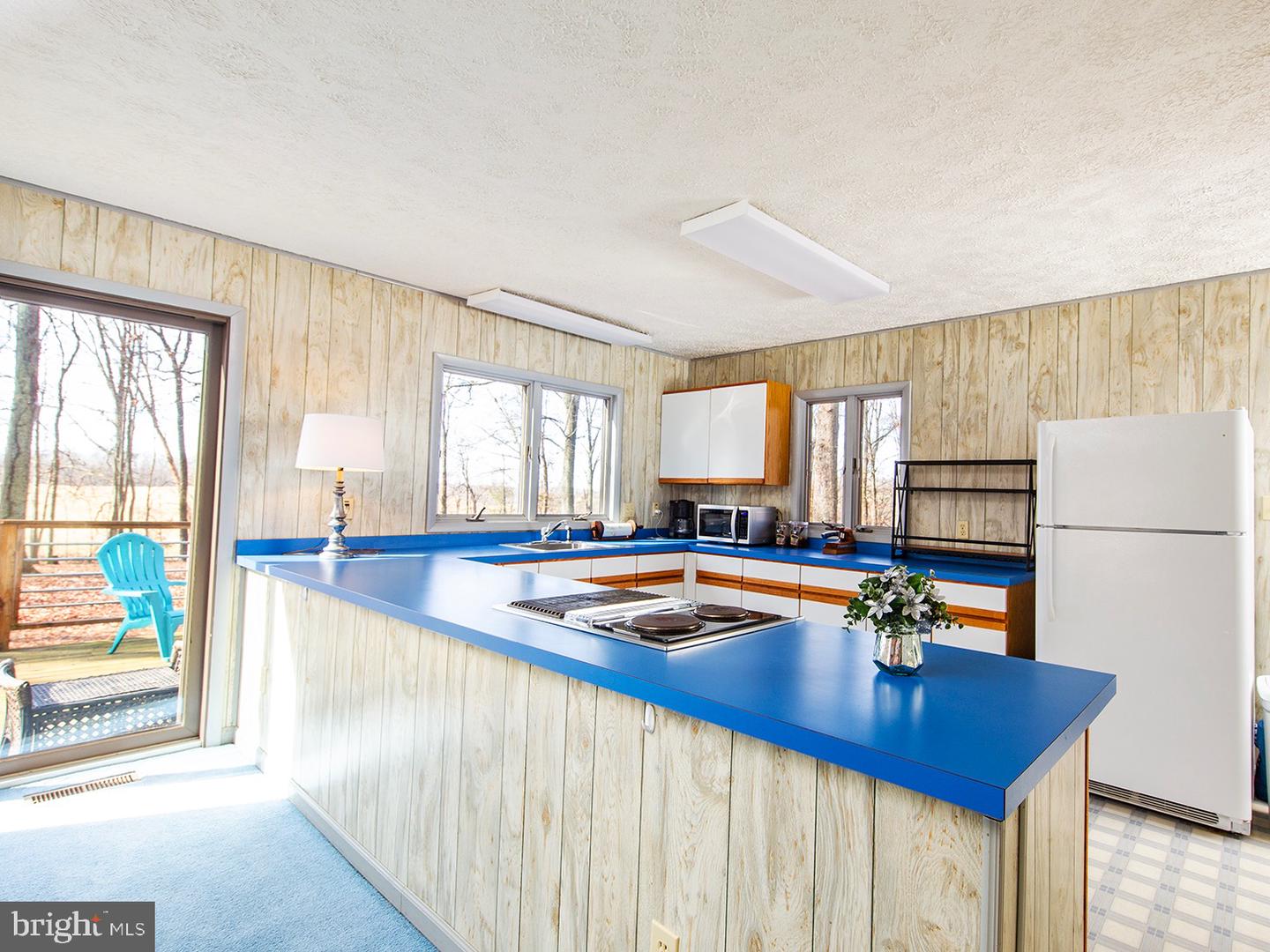 4500 WINERY LN, BARBOURSVILLE, Virginia 22923, 3 Bedrooms Bedrooms, ,3 BathroomsBathrooms,Farm,For Sale,4500 WINERY LN,VAAB2000548 MLS # VAAB2000548