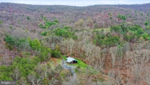 MOLDEN HOLLOW, RILEYVILLE, Virginia 22650, ,Farm,For Sale,MOLDEN HOLLOW,VAPA2003350 MLS # VAPA2003350