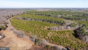 LOT 1 YELLOWBOTTOM RD LIGNUM Virginia 22726