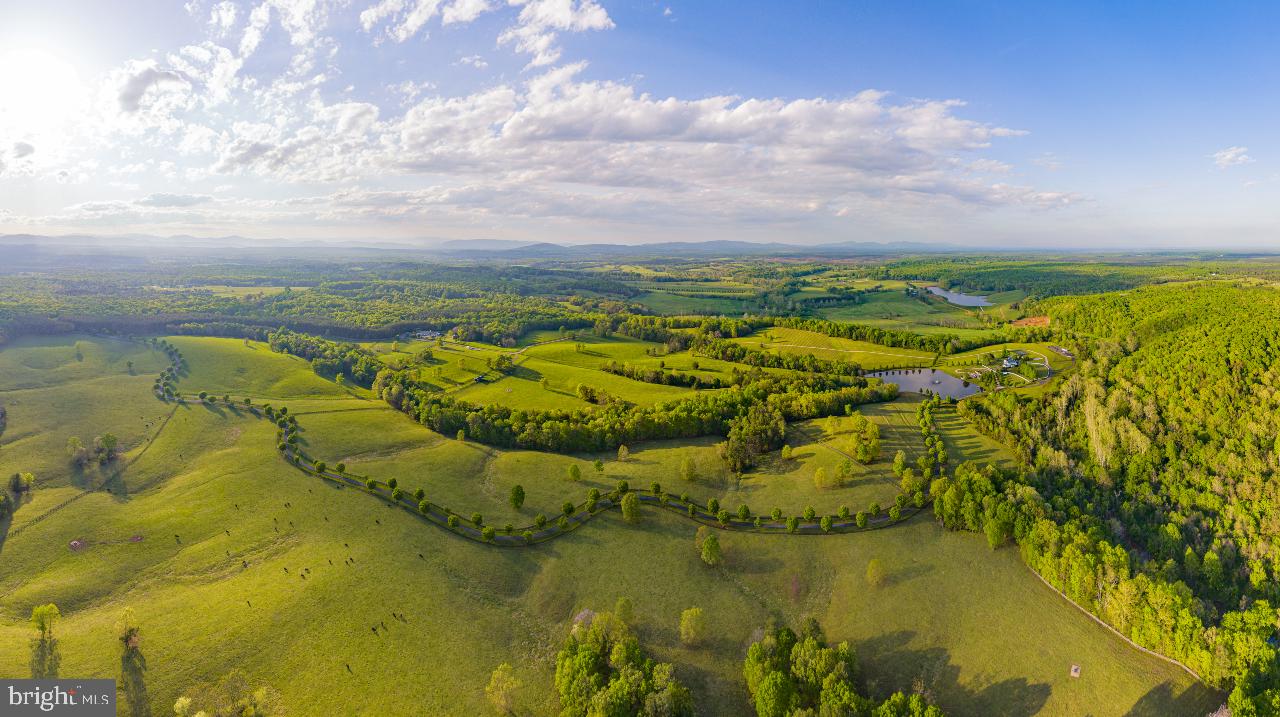 6518 JEFFERSON MILL RD, SCOTTSVILLE, Virginia 24590, ,Farm,For Sale,6518 JEFFERSON MILL RD,VAAB2000598 MLS # VAAB2000598 6518 JEFFERSON MILL RD, SCOTTSVILLE, Virginia 24590, ,Farm,For Sale,6518 JEFFERSON MILL RD,VAAB2000598 MLS # VAAB2000598