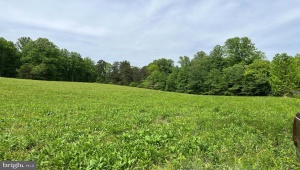 1 SLATE MILLS, BOSTON, Virginia 22713, ,Land,For Sale,1 SLATE MILLS,VARP2001534 MLS # VARP2001534