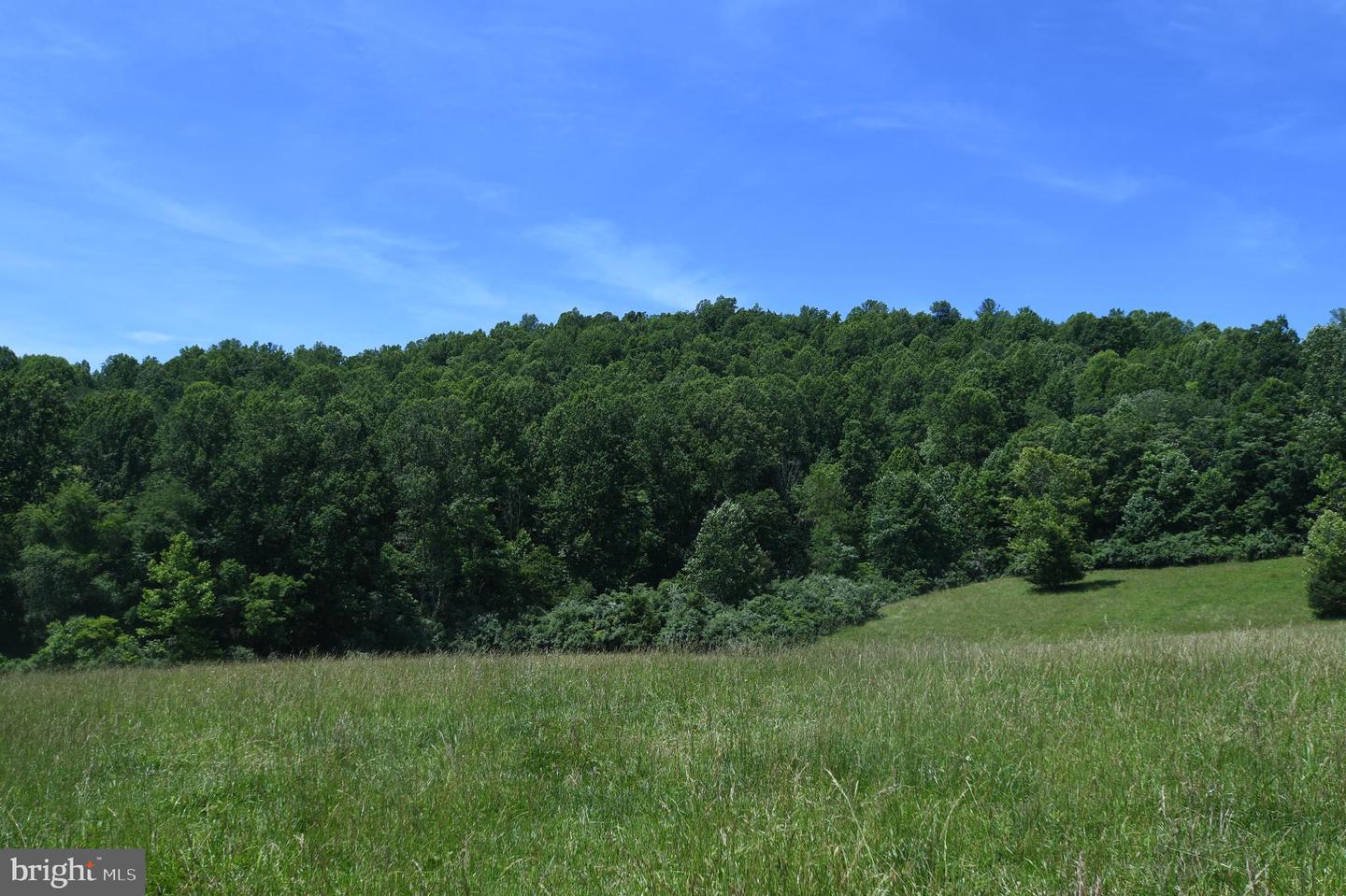 SLATE MILLS ROAD, SPERRYVILLE, Virginia 22740, ,Farm,For Sale,SLATE MILLS ROAD,VARP2001592 MLS # VARP2001592 SLATE MILLS ROAD, SPERRYVILLE, Virginia 22740, ,Farm,For Sale,SLATE MILLS ROAD,VARP2001592 MLS # VARP2001592