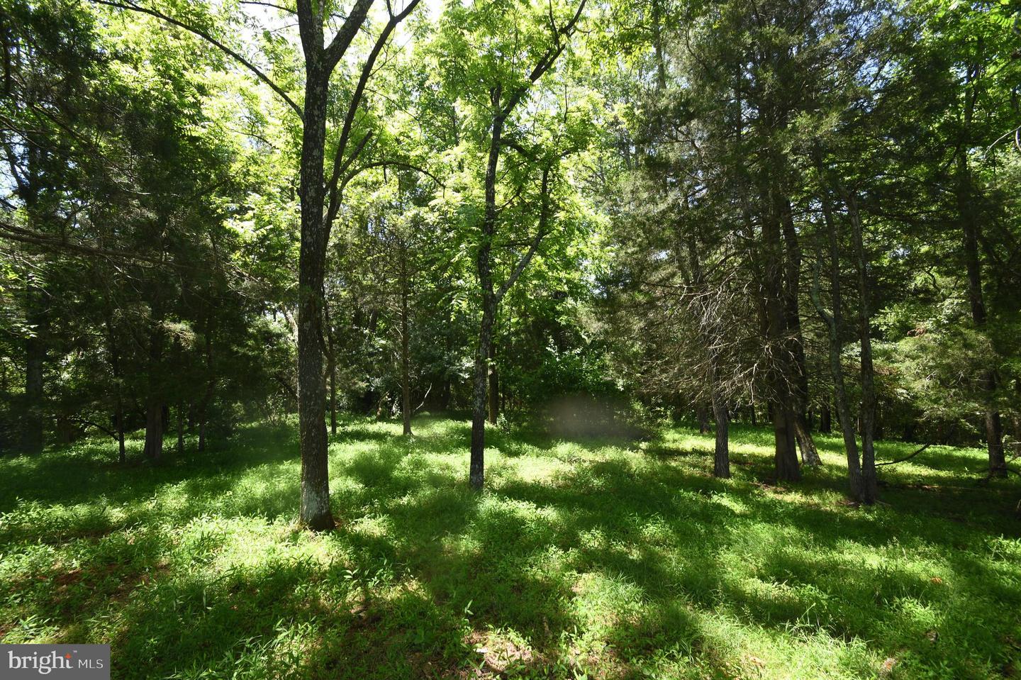 SLATE MILLS ROAD, SPERRYVILLE, Virginia 22740, ,Farm,For Sale,SLATE MILLS ROAD,VARP2001592 MLS # VARP2001592 SLATE MILLS ROAD, SPERRYVILLE, Virginia 22740, ,Farm,For Sale,SLATE MILLS ROAD,VARP2001592 MLS # VARP2001592