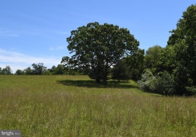 SLATE MILLS ROAD, SPERRYVILLE, Virginia 22740, ,Farm,For Sale,SLATE MILLS ROAD,VARP2001592 MLS # VARP2001592 SLATE MILLS ROAD, SPERRYVILLE, Virginia 22740, ,Farm,For Sale,SLATE MILLS ROAD,VARP2001592 MLS # VARP2001592