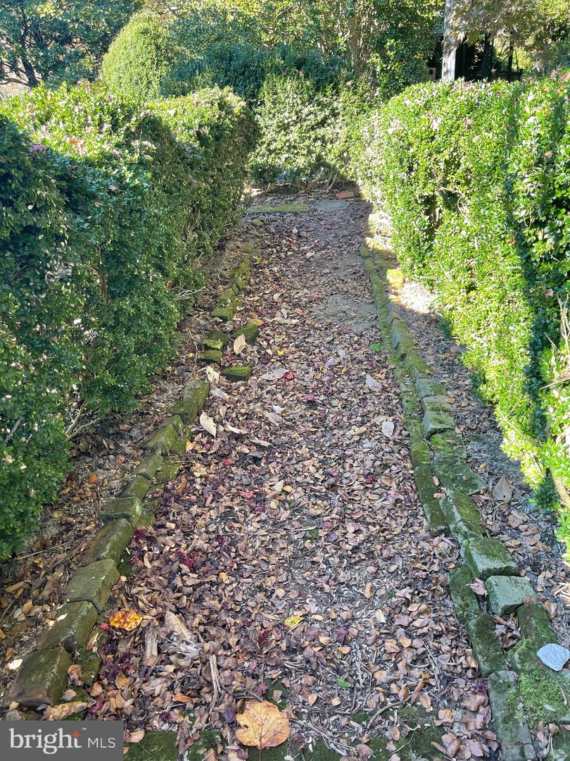 287 ROWES LANDING RD, HEATHSVILLE, Virginia 22473, 4 Bedrooms Bedrooms, 11 Rooms Rooms,2 BathroomsBathrooms,Residential,For Sale,287 ROWES LANDING RD,VANV2000930 MLS # VANV2000930 287 ROWES LANDING RD, HEATHSVILLE, Virginia 22473, 4 Bedrooms Bedrooms, 11 Rooms Rooms,2 BathroomsBathrooms,Residential,For Sale,287 ROWES LANDING RD,VANV2000930 MLS # VANV2000930