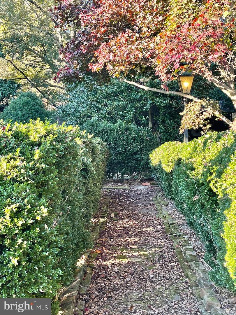 287 ROWES LANDING RD, HEATHSVILLE, Virginia 22473, 4 Bedrooms Bedrooms, 11 Rooms Rooms,2 BathroomsBathrooms,Residential,For Sale,287 ROWES LANDING RD,VANV2000930 MLS # VANV2000930 287 ROWES LANDING RD, HEATHSVILLE, Virginia 22473, 4 Bedrooms Bedrooms, 11 Rooms Rooms,2 BathroomsBathrooms,Residential,For Sale,287 ROWES LANDING RD,VANV2000930 MLS # VANV2000930