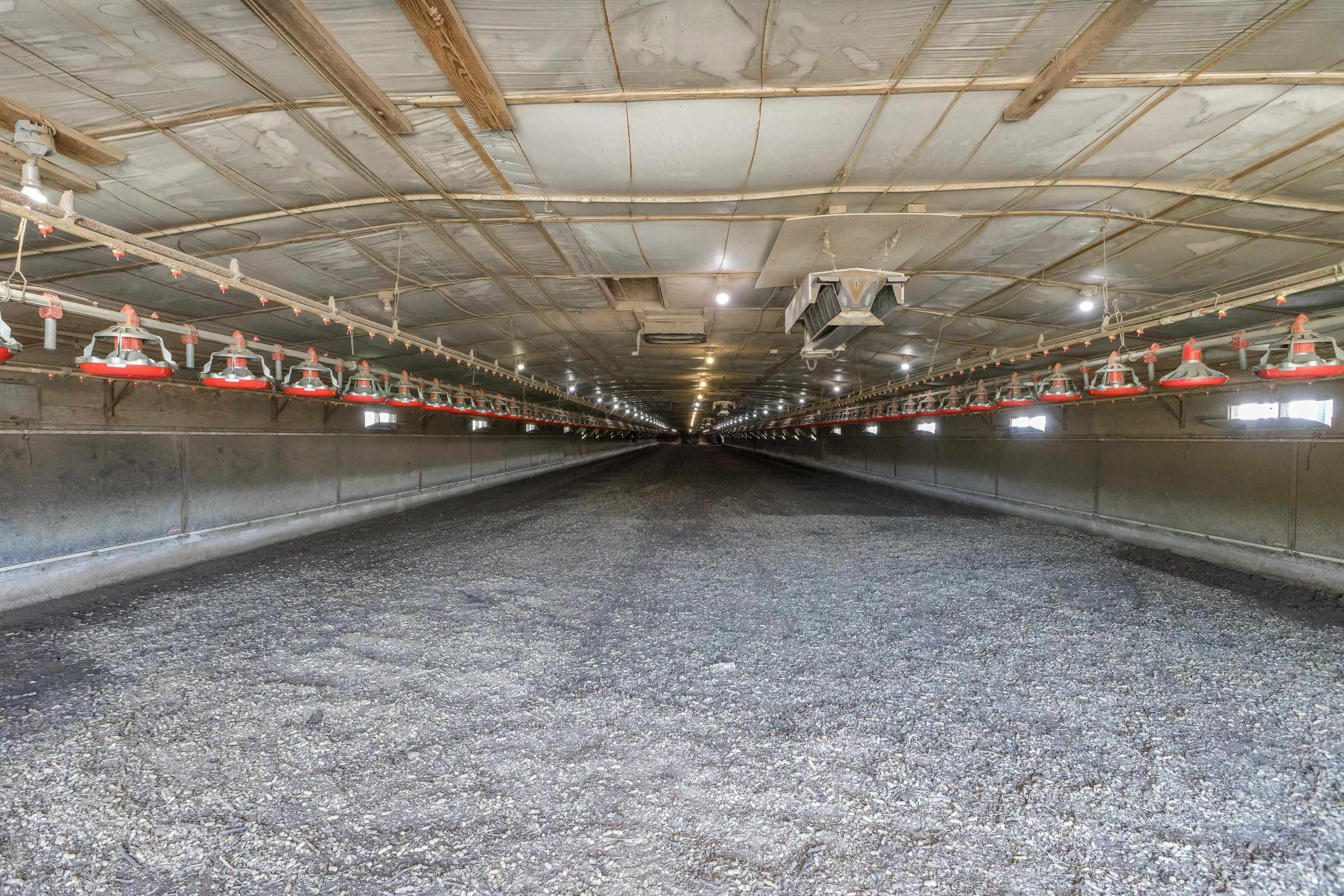 344 FREEMASON RUN RD, MOUNT SOLON, Virginia 22843, 5 Bedrooms Bedrooms, ,1 BathroomBathrooms,Residential,14,344 FREEMASON RUN RD,653943 MLS # 653943