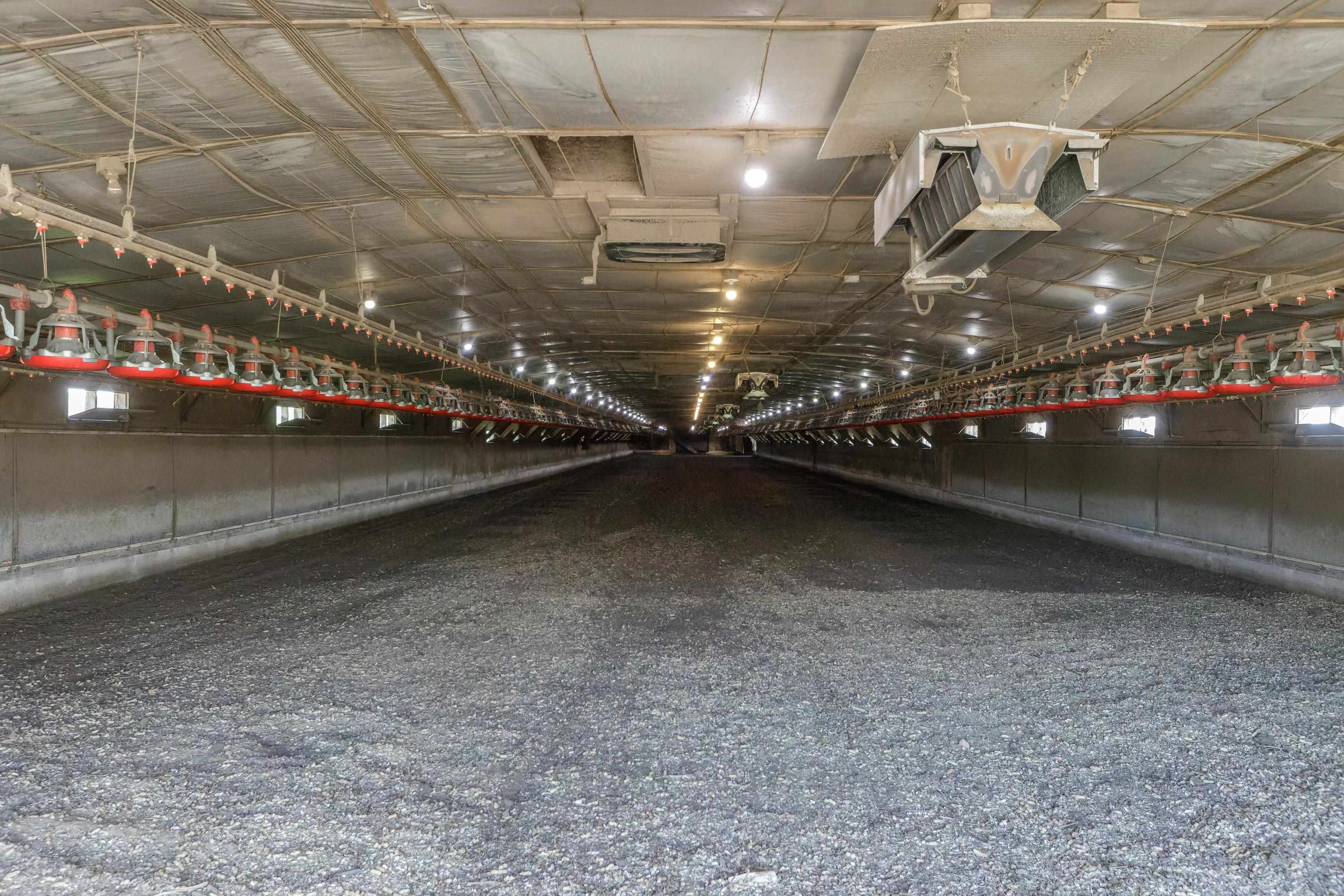 344 FREEMASON RUN RD, MOUNT SOLON, Virginia 22843, 5 Bedrooms Bedrooms, ,1 BathroomBathrooms,Residential,14,344 FREEMASON RUN RD,653943 MLS # 653943