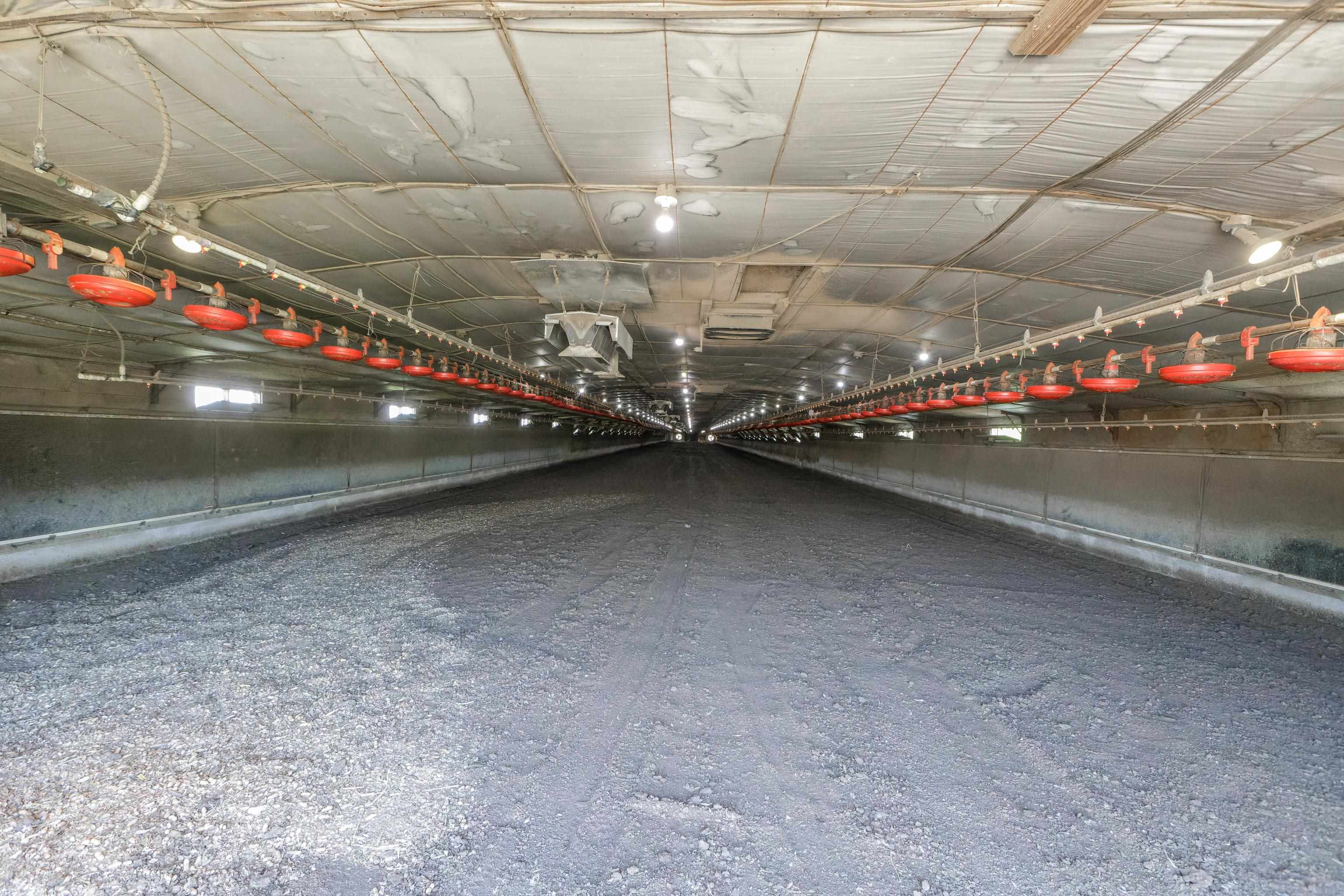 344 FREEMASON RUN RD, MOUNT SOLON, Virginia 22843, 5 Bedrooms Bedrooms, ,1 BathroomBathrooms,Residential,14,344 FREEMASON RUN RD,653943 MLS # 653943