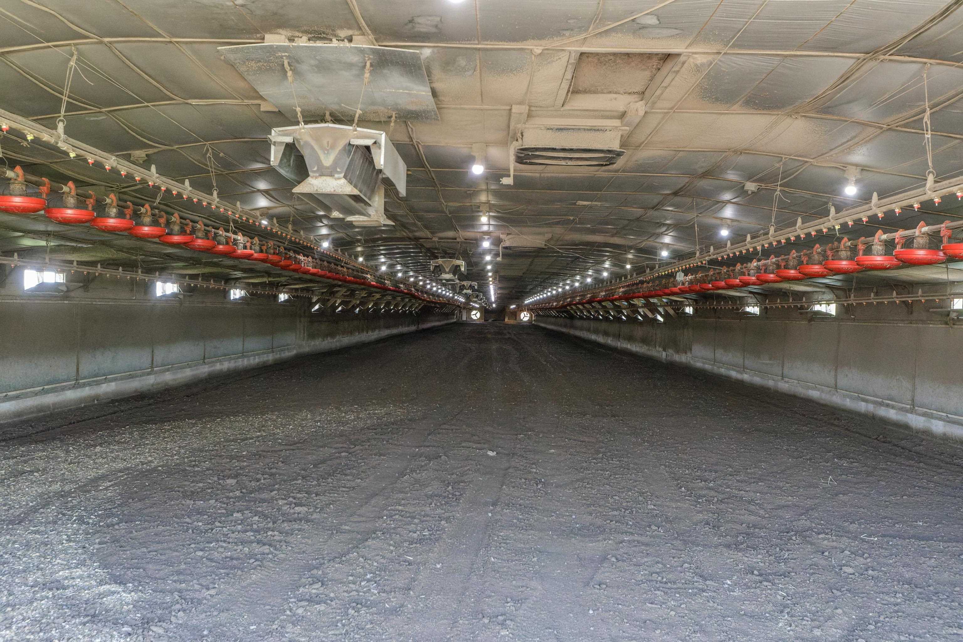 344 FREEMASON RUN RD, MOUNT SOLON, Virginia 22843, 5 Bedrooms Bedrooms, ,1 BathroomBathrooms,Residential,14,344 FREEMASON RUN RD,653943 MLS # 653943