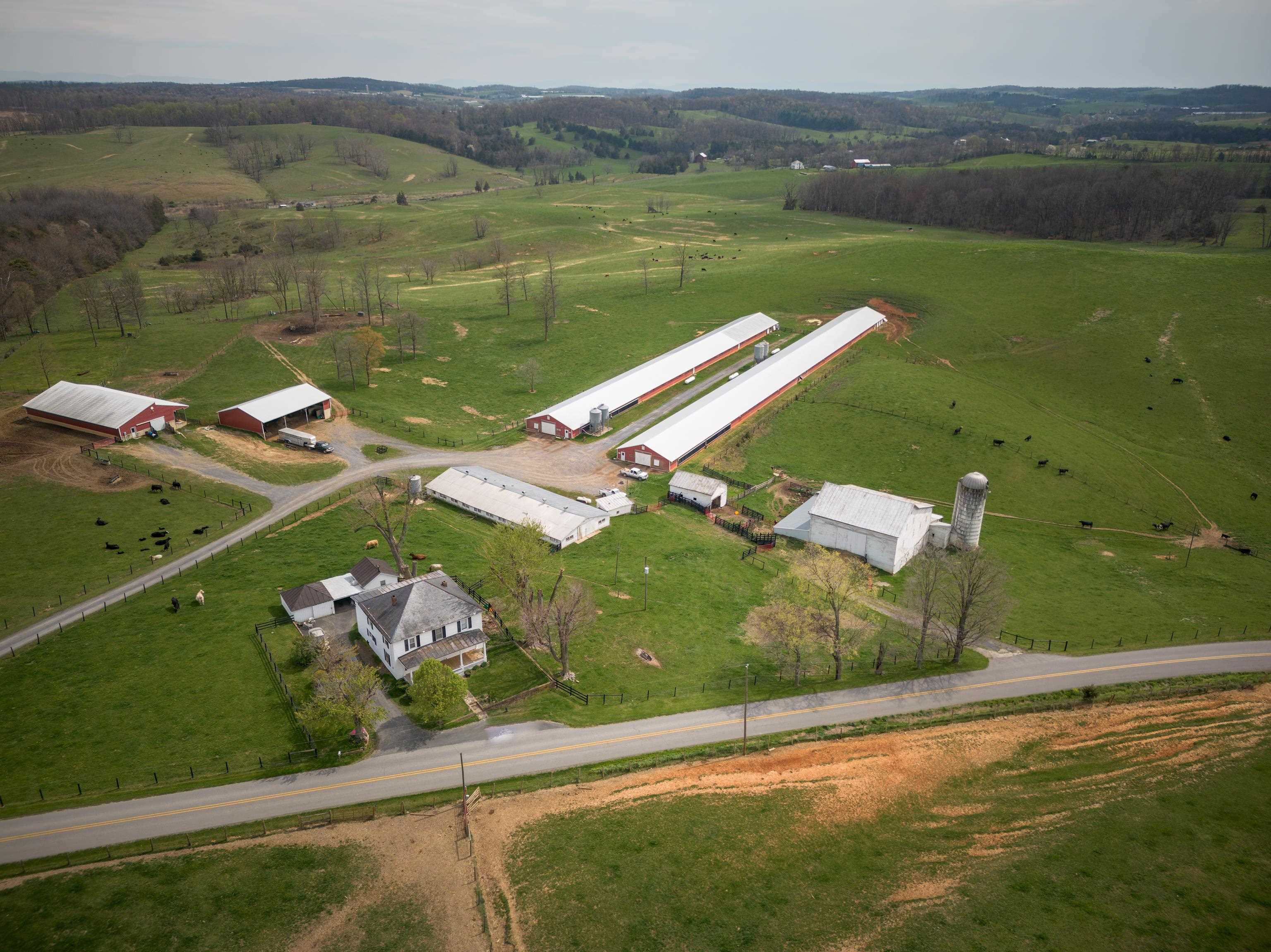 344 FREEMASON RUN RD, MOUNT SOLON, Virginia 22843, 5 Bedrooms Bedrooms, ,1 BathroomBathrooms,Residential,14,344 FREEMASON RUN RD,653943 MLS # 653943