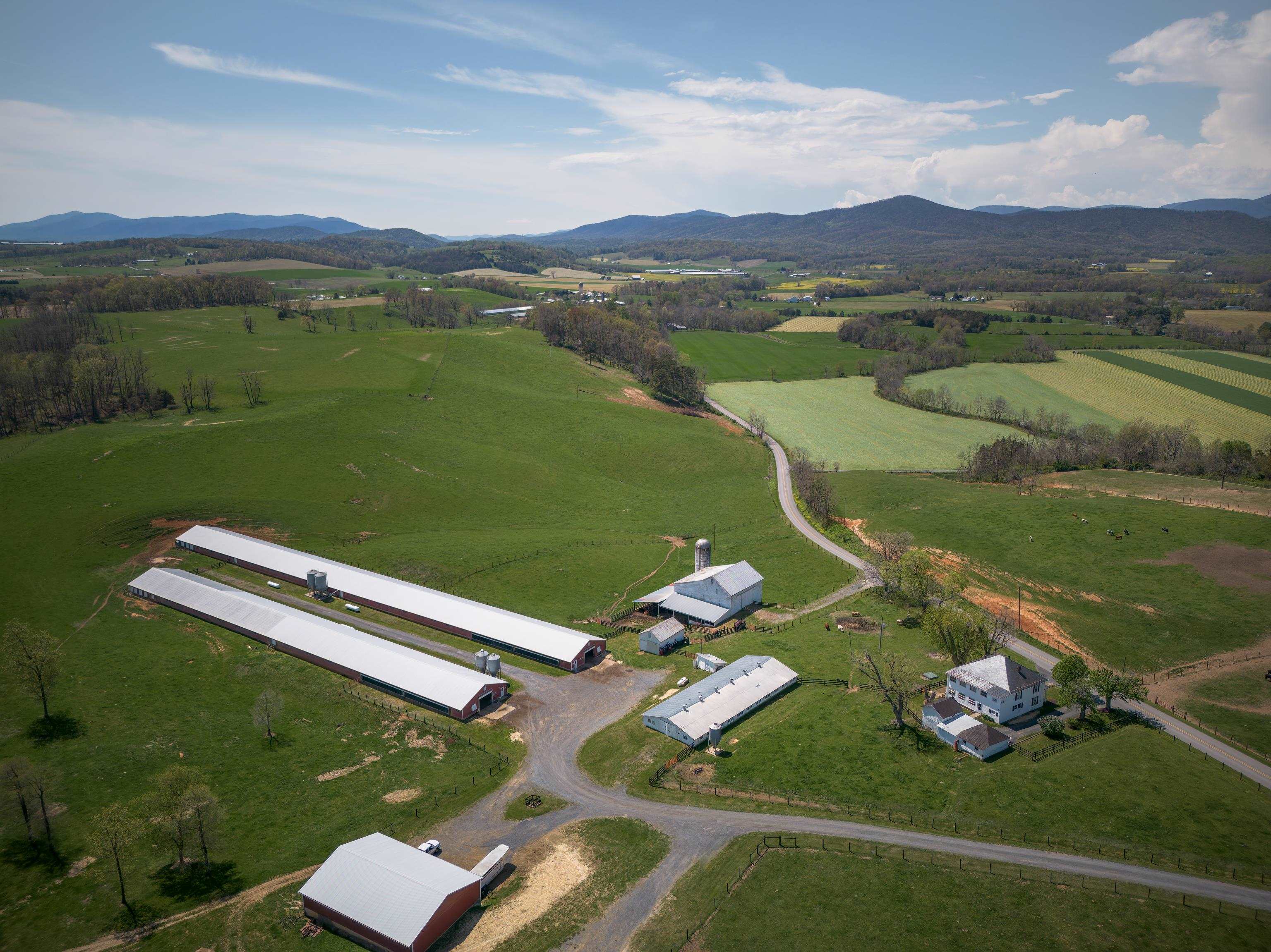 344 FREEMASON RUN RD, MOUNT SOLON, Virginia 22843, 5 Bedrooms Bedrooms, ,1 BathroomBathrooms,Residential,14,344 FREEMASON RUN RD,653943 MLS # 653943