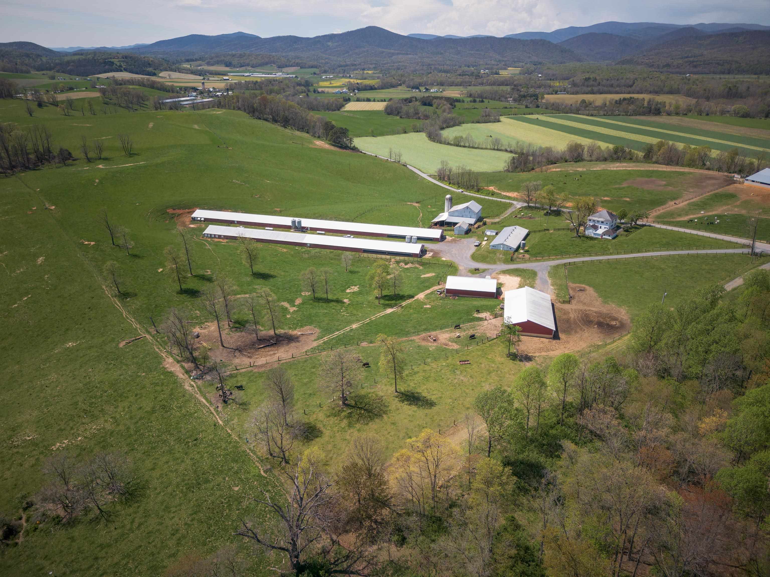 344 FREEMASON RUN RD, MOUNT SOLON, Virginia 22843, 5 Bedrooms Bedrooms, ,1 BathroomBathrooms,Residential,14,344 FREEMASON RUN RD,653943 MLS # 653943