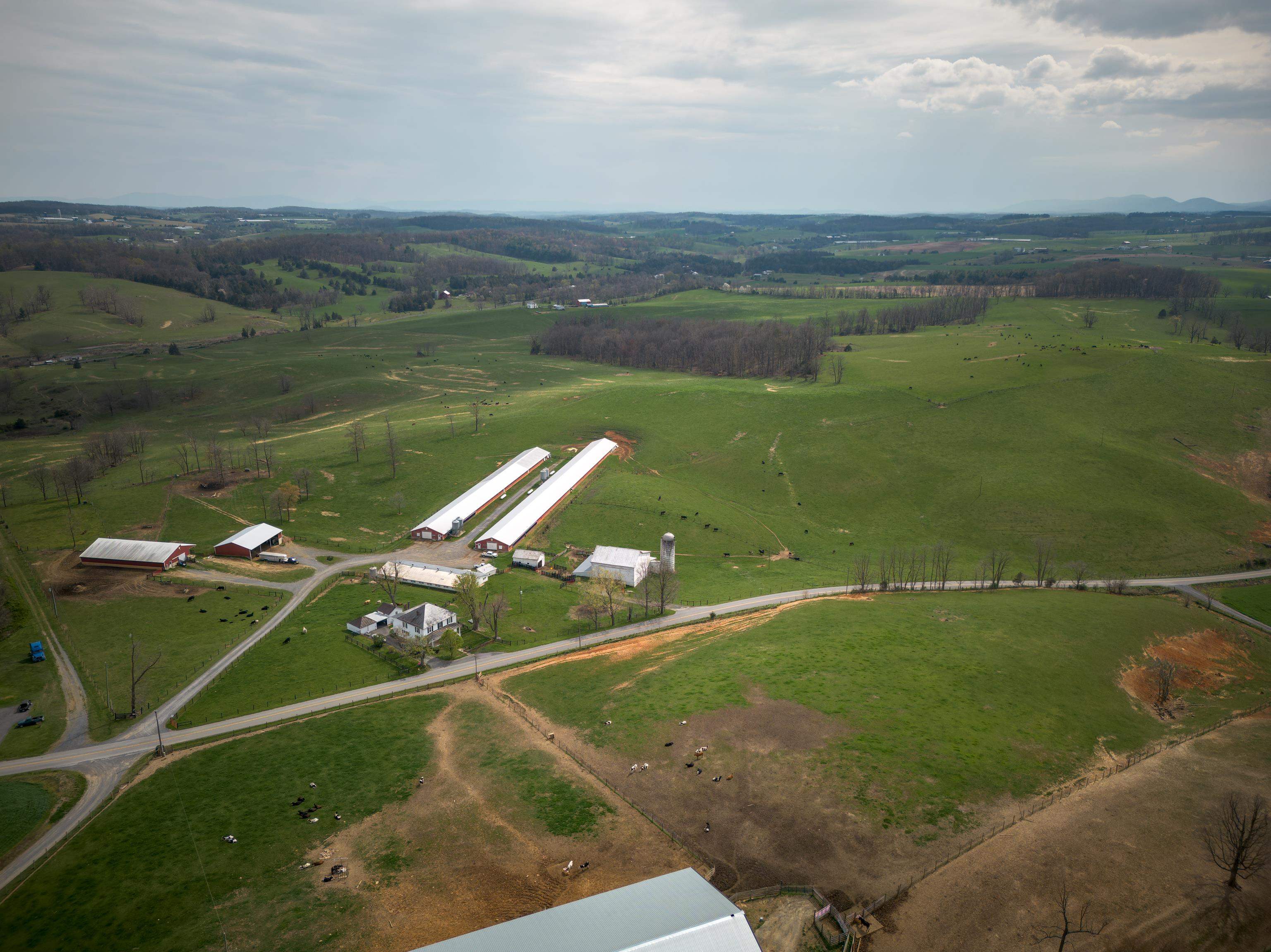 344 FREEMASON RUN RD, MOUNT SOLON, Virginia 22843, 5 Bedrooms Bedrooms, ,1 BathroomBathrooms,Residential,14,344 FREEMASON RUN RD,653943 MLS # 653943