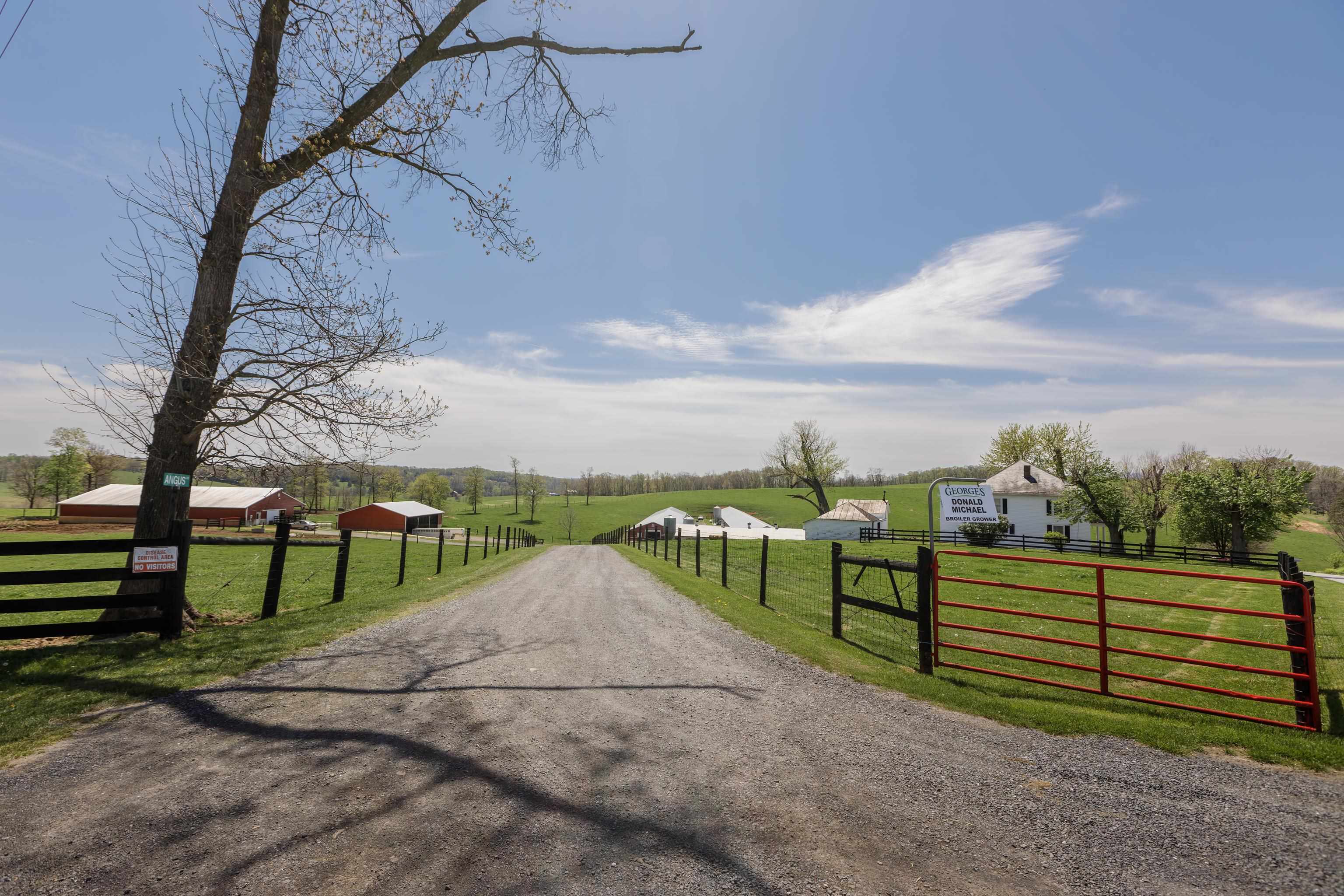 344 FREEMASON RUN RD, MOUNT SOLON, Virginia 22843, 5 Bedrooms Bedrooms, ,1 BathroomBathrooms,Residential,14,344 FREEMASON RUN RD,653943 MLS # 653943