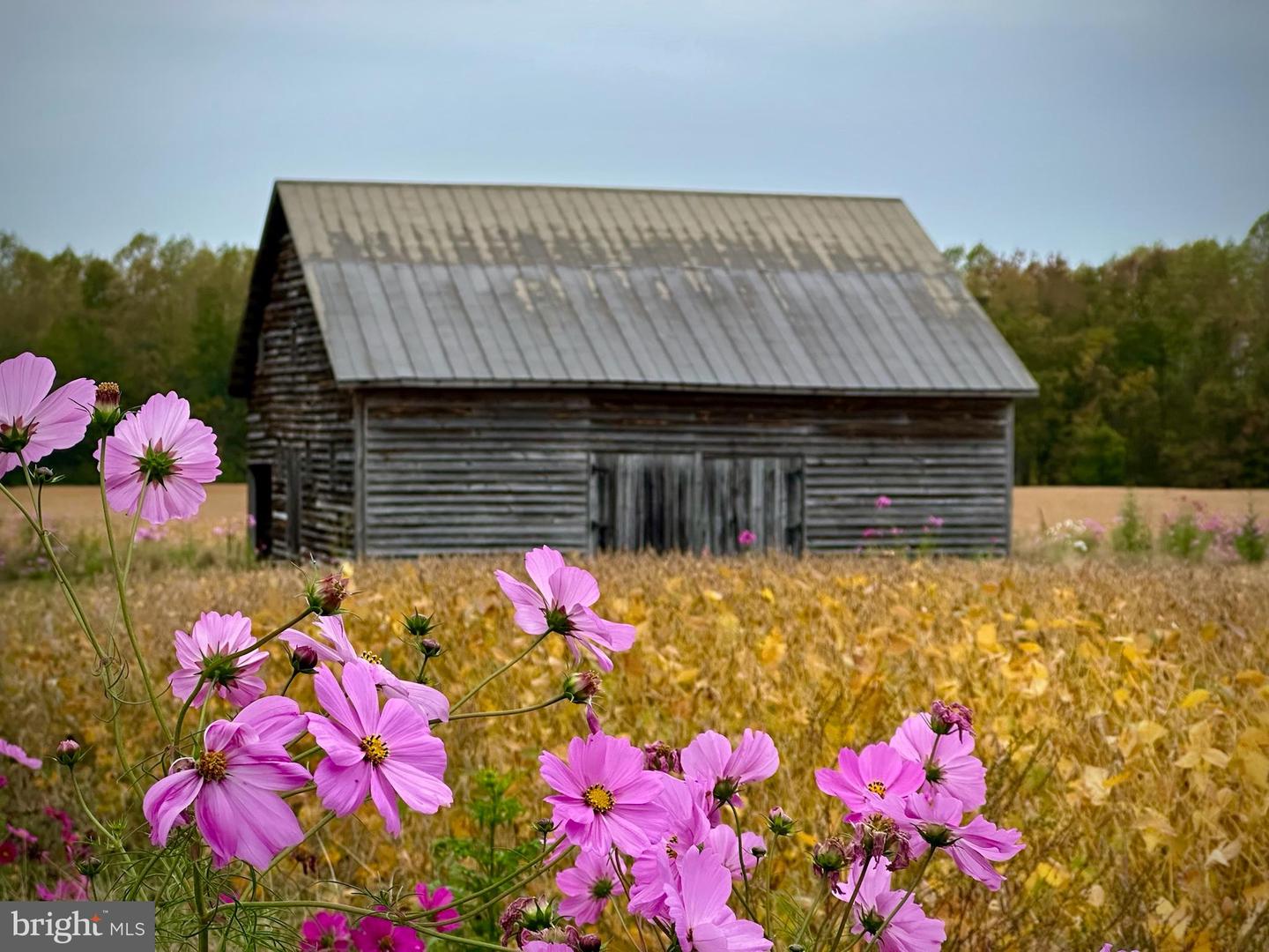 2459 DUNBROOKE RD, TAPPAHANNOCK, Virginia 22560, 4 Bedrooms Bedrooms, ,3 BathroomsBathrooms,Residential,For Sale,2459 DUNBROOKE RD,VAES2000638 MLS # VAES2000638