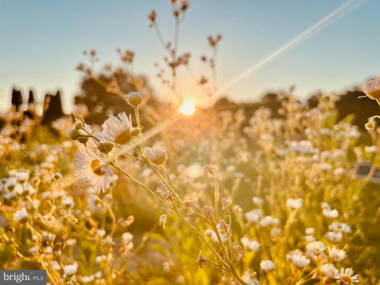 2459 DUNBROOKE RD, TAPPAHANNOCK, Virginia 22560, 4 Bedrooms Bedrooms, ,3 BathroomsBathrooms,Residential,For Sale,2459 DUNBROOKE RD,VAES2000638 MLS # VAES2000638