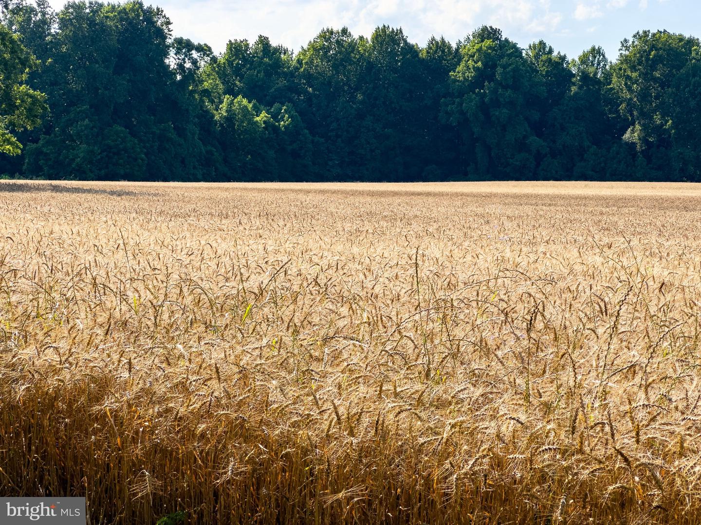 2459 DUNBROOKE RD, TAPPAHANNOCK, Virginia 22560, 4 Bedrooms Bedrooms, ,3 BathroomsBathrooms,Residential,For Sale,2459 DUNBROOKE RD,VAES2000638 MLS # VAES2000638