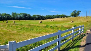 10628 MARSH RD, BEALETON, Virginia 22712, 5 Bedrooms Bedrooms, ,2 BathroomsBathrooms,Farm,For Sale,10628 MARSH RD,VAFQ2013018 MLS # VAFQ2013018