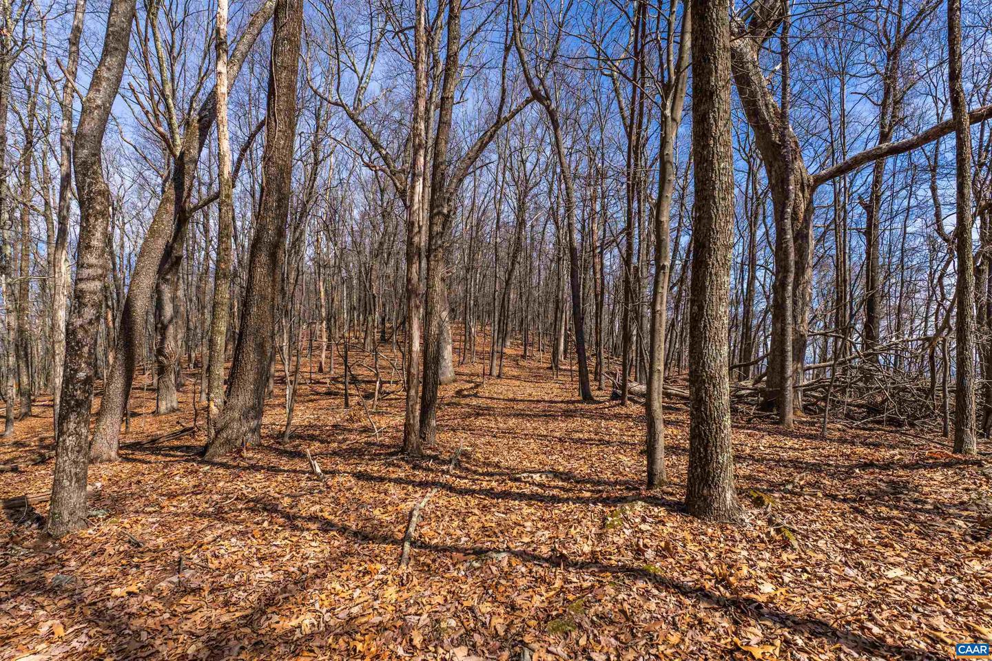 TROXEL GAP RD, MIDDLEBROOK, Virginia 24459, ,Farm,For Sale,TROXEL GAP RD,654675 MLS # 654675 TROXEL GAP RD, MIDDLEBROOK, Virginia 24459, ,Farm,For Sale,TROXEL GAP RD,654675 MLS # 654675