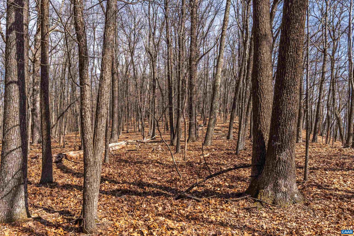 TROXEL GAP RD, MIDDLEBROOK, Virginia 24459, ,Farm,For Sale,TROXEL GAP RD,654675 MLS # 654675 TROXEL GAP RD, MIDDLEBROOK, Virginia 24459, ,Farm,For Sale,TROXEL GAP RD,654675 MLS # 654675