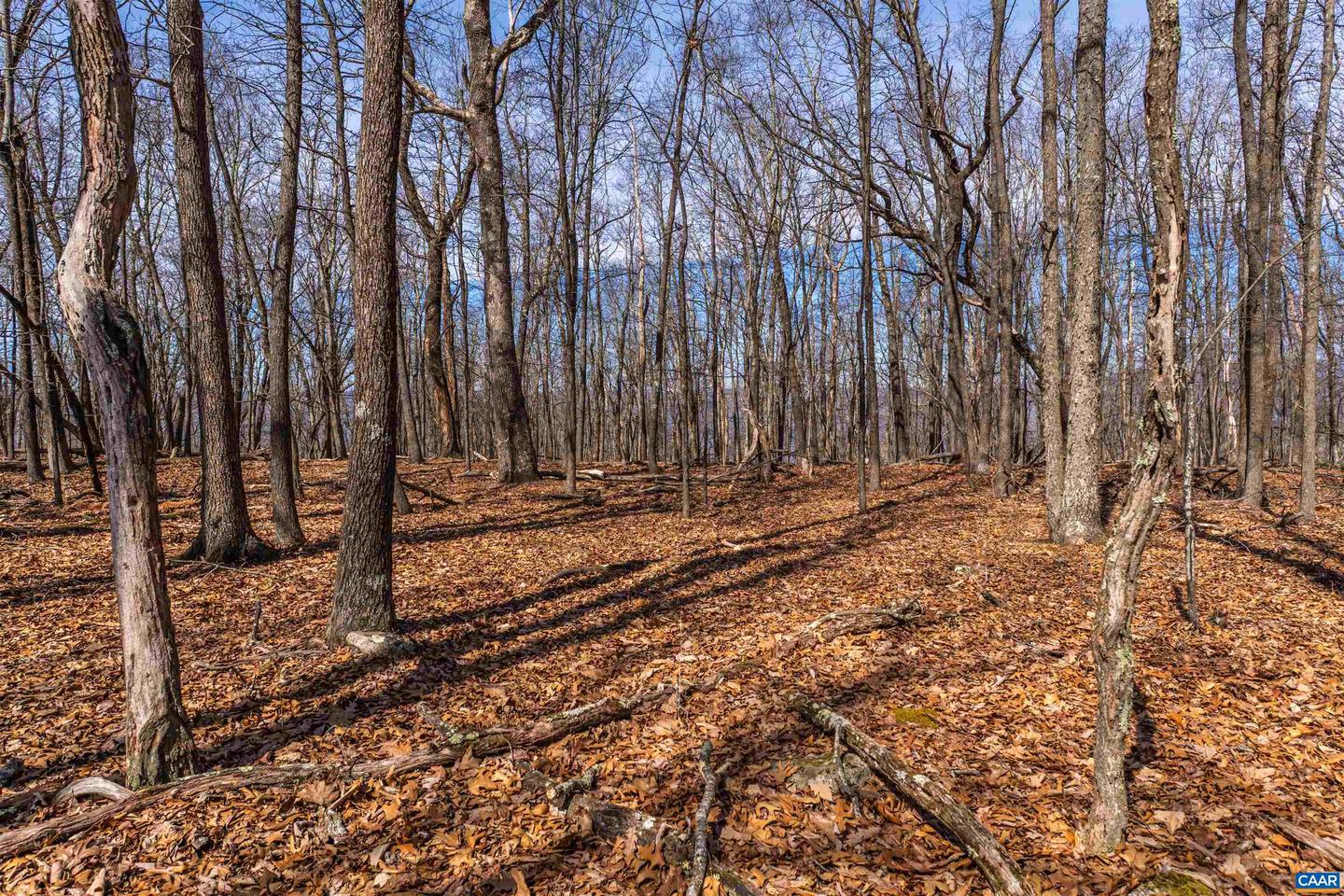 TROXEL GAP RD, MIDDLEBROOK, Virginia 24459, ,Farm,For Sale,TROXEL GAP RD,654675 MLS # 654675 TROXEL GAP RD, MIDDLEBROOK, Virginia 24459, ,Farm,For Sale,TROXEL GAP RD,654675 MLS # 654675