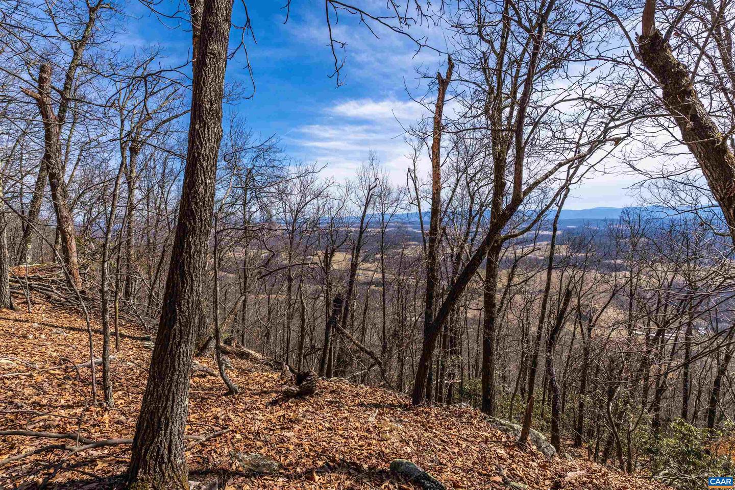 TROXEL GAP RD, MIDDLEBROOK, Virginia 24459, ,Farm,For Sale,TROXEL GAP RD,654675 MLS # 654675 TROXEL GAP RD, MIDDLEBROOK, Virginia 24459, ,Farm,For Sale,TROXEL GAP RD,654675 MLS # 654675