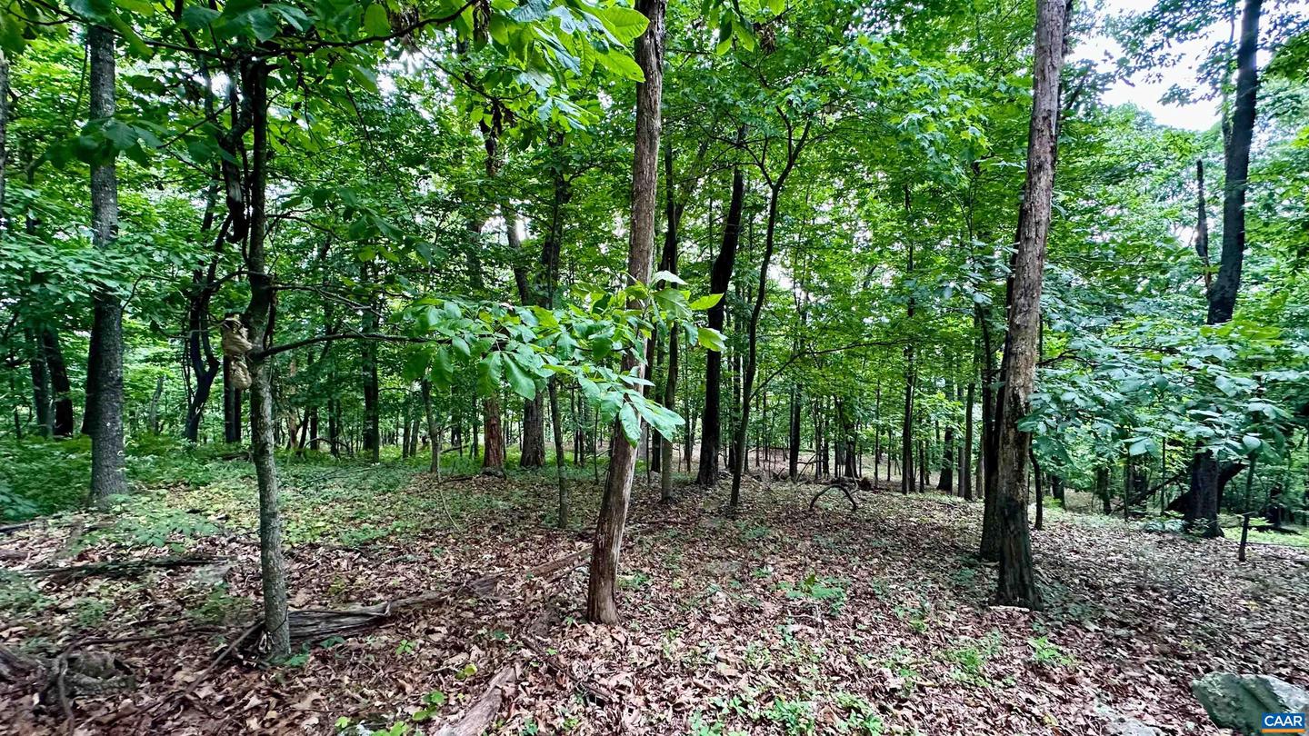 TROXEL GAP RD, MIDDLEBROOK, Virginia 24459, ,Farm,For Sale,TROXEL GAP RD,654675 MLS # 654675 TROXEL GAP RD, MIDDLEBROOK, Virginia 24459, ,Farm,For Sale,TROXEL GAP RD,654675 MLS # 654675